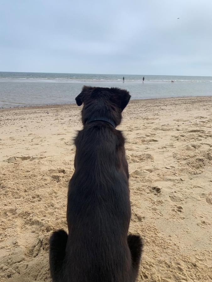 Norfolk Caravan Staycation Pet Friendly Belton with Browston Exterior foto