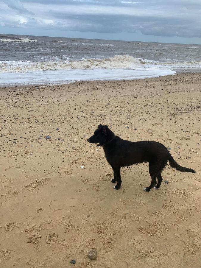 Norfolk Caravan Staycation Pet Friendly Belton with Browston Exterior foto